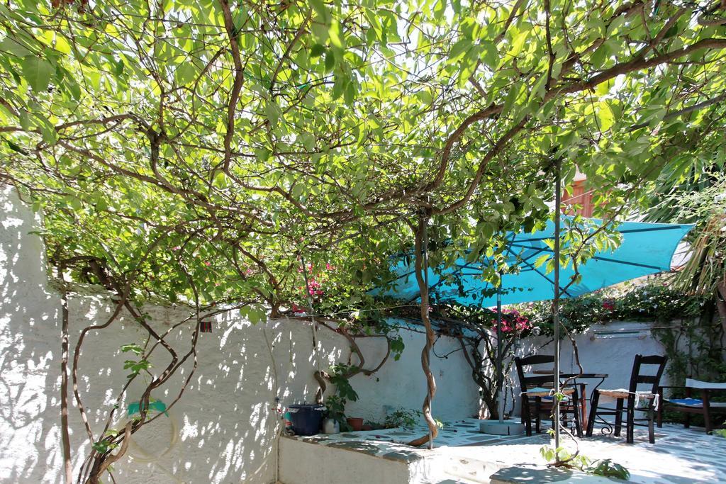 To Spitaki Apartments Galaxídhion Exteriér fotografie